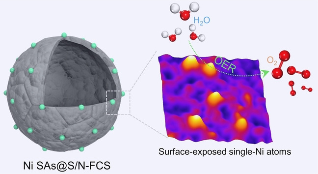 Surface-Exposed Single-Ni Atoms with Potential-Driven Dynamic Behaviors for Highly Efficient Electrocatalytic Oxygen Evolution