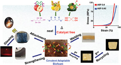 Carbohydrate-Based Reprocessable and Healable Covalent Adaptable Biofoams