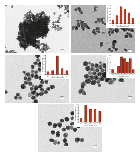 Details are in the caption following the image Details are in the caption following the image