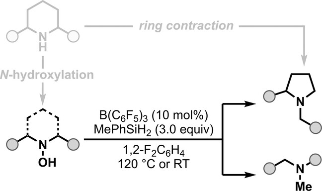 Ring Contraction of Saturated Cyclic Amines and Rearrangement of Acyclic Amines Through Their Corresponding Hydroxylamines