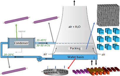 Compartmental Modeling of Biofouling in Industrial Cooling Circuits