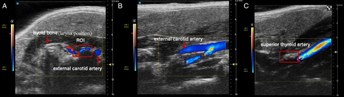 Details are in the caption following the image Details are in the caption following the image