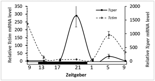 Details are in the caption following the image