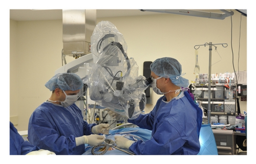 Details are in the caption following the image Details are in the caption following the image