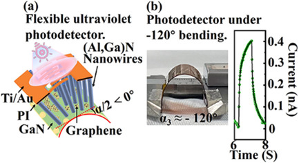 Detached Vertical (Al,Ga)N Nanowires to Realize the Flexible Ultraviolet Photodetector with High Ultraviolet/Visible Reject Ratio and Detectivity