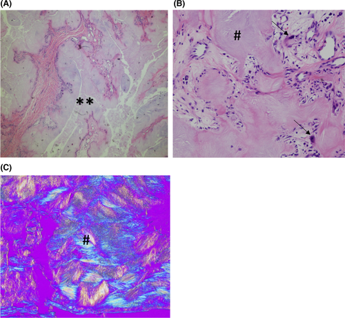 Details are in the caption following the image Details are in the caption following the image