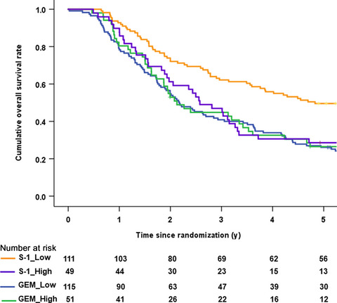 Human equilibrative nucleoside transporter-1 expression is a predictor in patients with resected pancreatic cancer treated with adjuvant S-1 chemotherapy