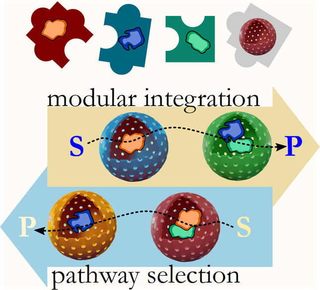 Synthetic Silica Nano-Organelles for Regulation of Cascade Reactions in Multi-Compartmentalized Systems