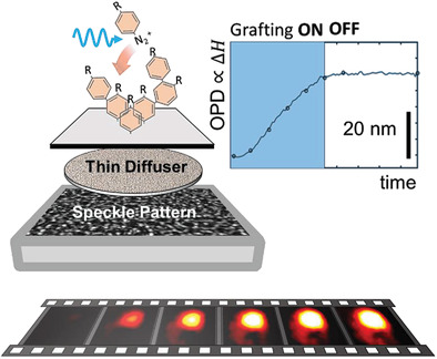 Local Surface Chemistry Dynamically Monitored by Quantitative Phase Microscopy