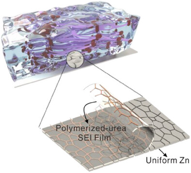 Boosting Performance of Quasi-Solid-State Zinc Ion Batteries via Zincophilic Solubilization