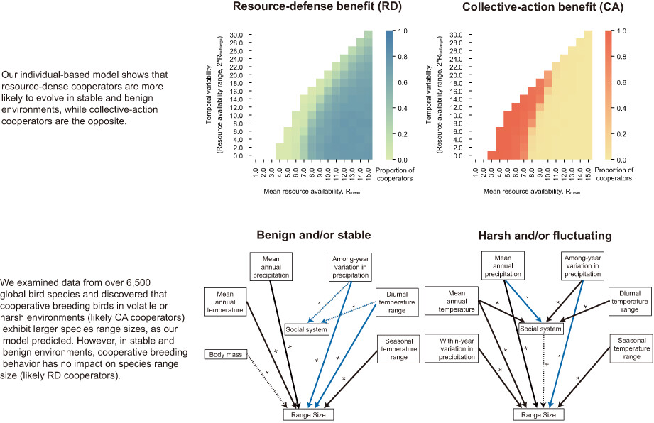 Environmental quality mediates the ecological dominance of cooperatively breeding birds
