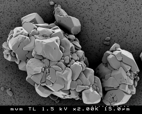 Details are in the caption following the image