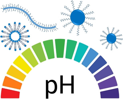 Einfluss der Verteilung hydrophiler Monomere auf die Selbstassemblierung eines pH-responsiven Copolymers: Kugeln, Würmer und Vesikel aus einer einzigen Copolymerkomposition