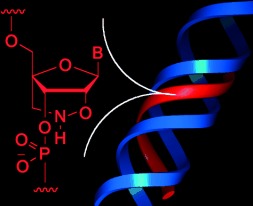 Highly Stable Pyrimidine-Motif Triplex Formation at Physiological pH Values by a Bridged Nucleic Acid Analogue