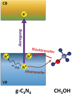 Experimental Identification of Ultrafast Reverse Hole Transfer at the Interface of the Photoexcited Methanol/Graphitic Carbon Nitride System