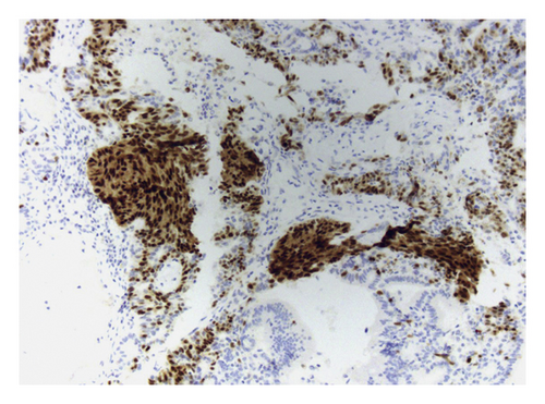Details are in the caption following the image Details are in the caption following the image