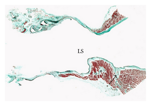 Details are in the caption following the image