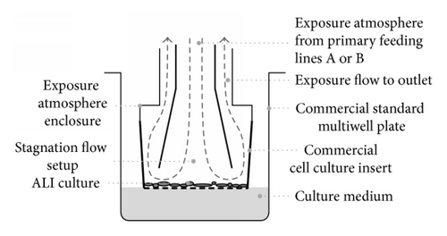 Details are in the caption following the image