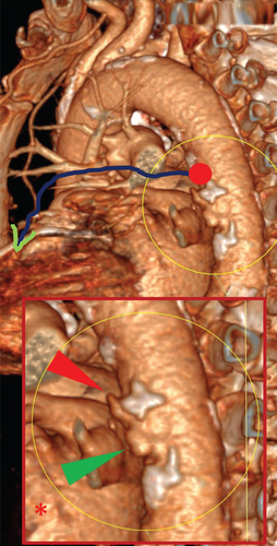 Details are in the caption following the image Details are in the caption following the image