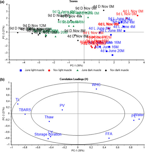 Stability of Golden redfish (Sebastes marinus) during frozen storage as affected by raw material freshness and season of capture