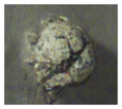 Details are in the caption following the image