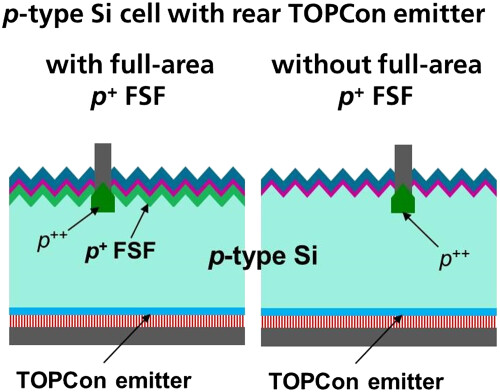 Tunnel oxide passivating electron contacts as full-area rear emitter of high-efficiency p-type silicon solar cells