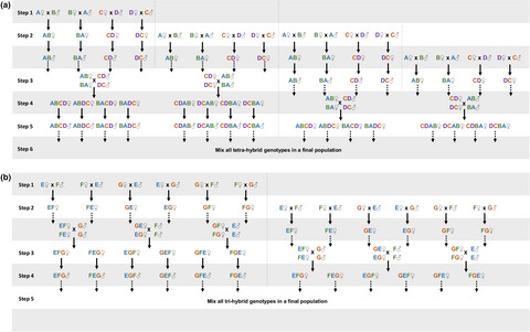 Creating outbred and inbred populations in haplodiploids to measure adaptive responses in the laboratory