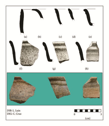 Details are in the caption following the image Details are in the caption following the image