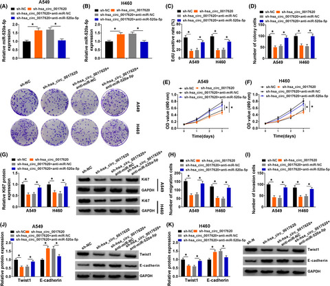Hsa_circRNA_0017620 regulated cell progression of non-small-cell lung cancer via miR-520a-5p/KRT5 axis