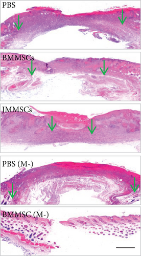 Details are in the caption following the image