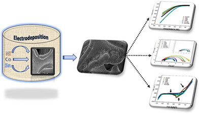 A new catalyst for HER: Tin-Cobalt Co-deposited nickel matrix