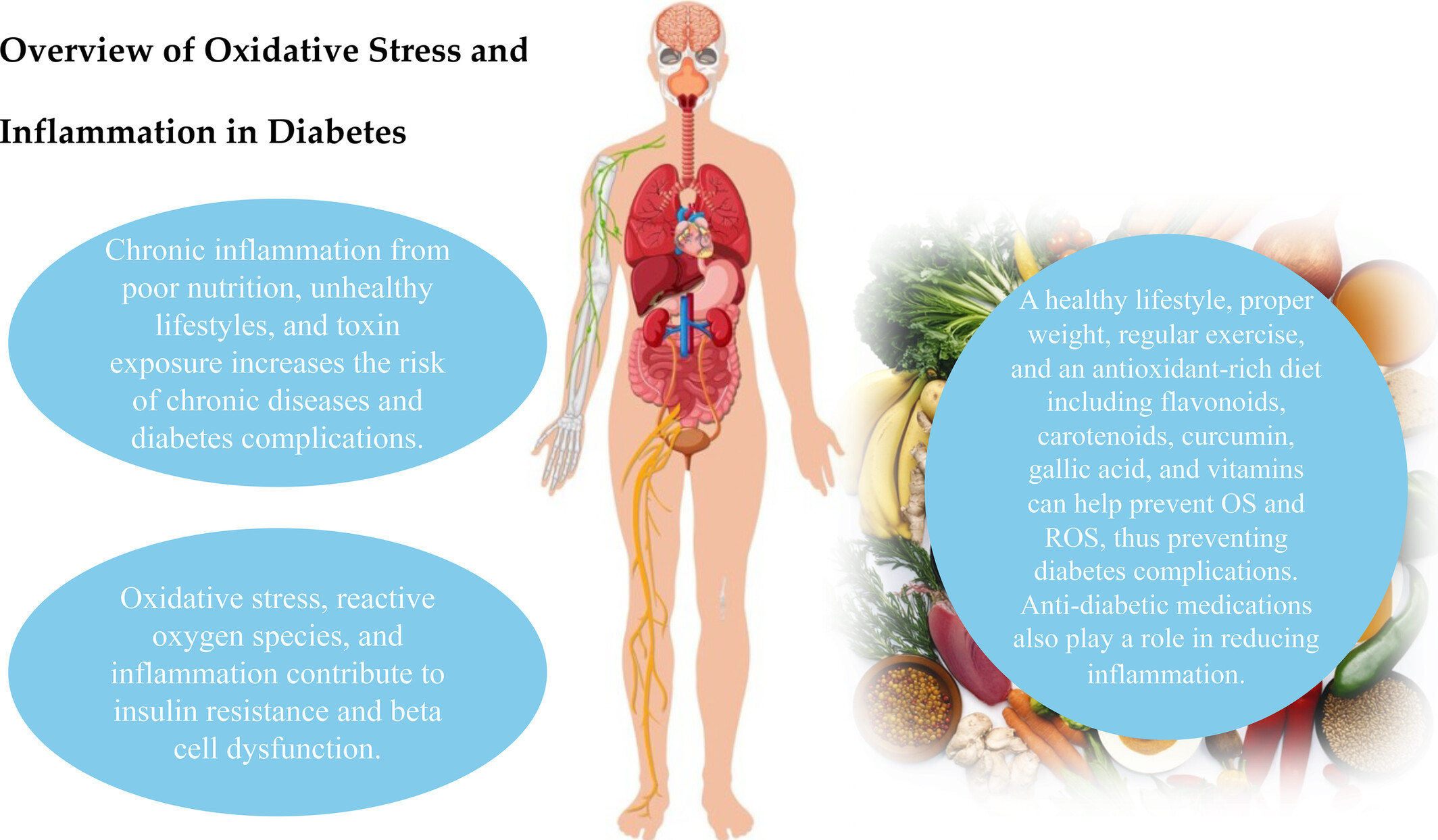 Overview of oxidative stress and inflammation in diabetes Issue 10, 2024
