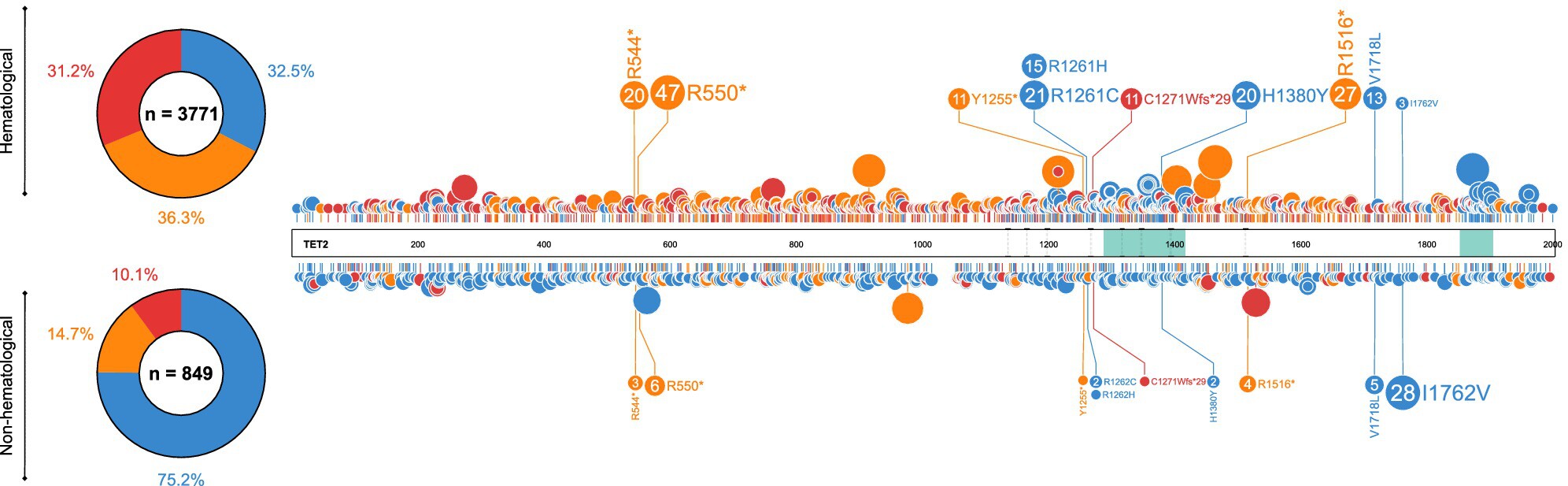 Landscape of TET2 Mutations: From Hematological Malignancies to Solid Tumors