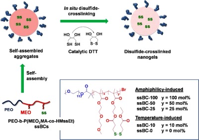 Tuning amphiphilicity/temperature-induced self-assembly and in-situ disulfide crosslinking of reduction-responsive block copolymers