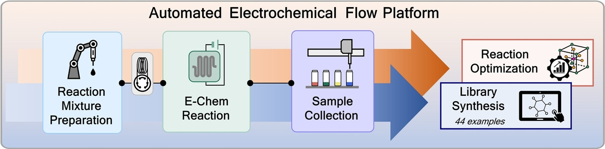 An Automated Electrochemical Flow Platform to Accelerate Library Synthesis and Reaction Optimization