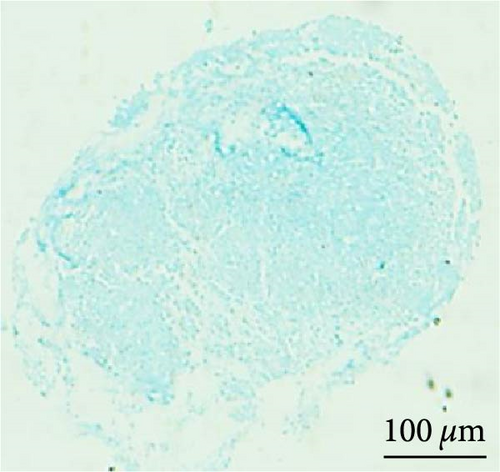 Details are in the caption following the image