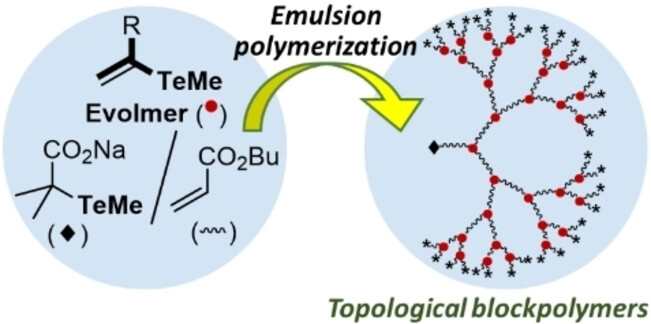 Practical Synthesis of Dendritic Hyperbranched Polyacrylates and Their Topological Block Polymers by Organotellurium-Mediated Emulsion Polymerization in Water**