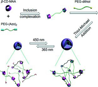 Facile and Efficient Fabrication of Photoresponsive Microgels via Thiol–Michael Addition