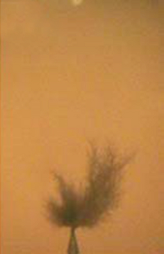 Details are in the caption following the image