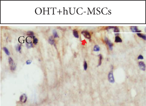 Details are in the caption following the image