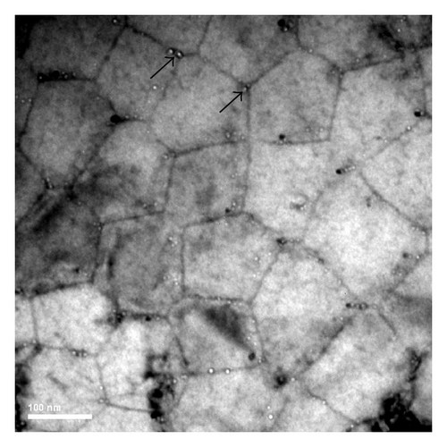 Details are in the caption following the image