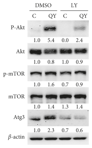 Details are in the caption following the image
