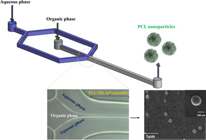 Synthesis of Polycaprolactone Nanoparticles through Flow-Focusing Microfluidic-Assisted Nanoprecipitation