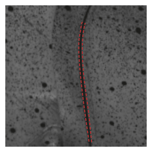 Details are in the caption following the image