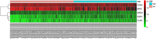 Details are in the caption following the image Details are in the caption following the image