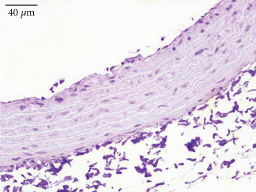 Details are in the caption following the image