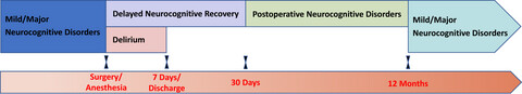 Perioperative neurocognitive disorders: A narrative review focusing on diagnosis, prevention, and treatment