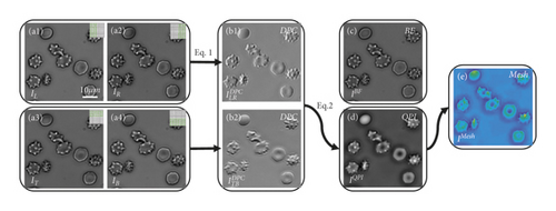 Details are in the caption following the image