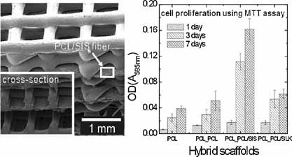 Three-Dimensional Polycaprolactone Hierarchical Scaffolds Supplemented with Natural Biomaterials to Enhance Mesenchymal Stem Cell Proliferation