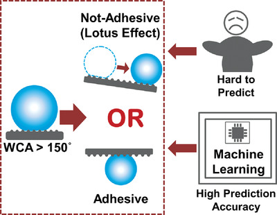 Prediction of the Lotus Effect on Solid Surfaces by Machine Learning